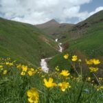 Axwa Sîpîye Efsanesi 1