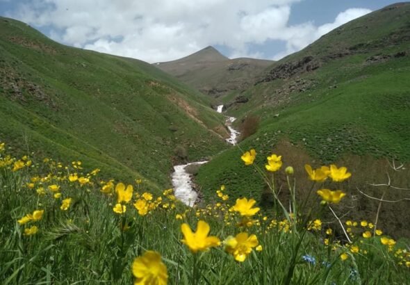 Axwa Sîpîye Efsanesi 1