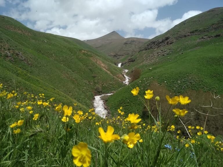 Axwa Sîpîye Efsanesi 1