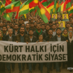 azadroni_Demokratik siyaset D. Çelik