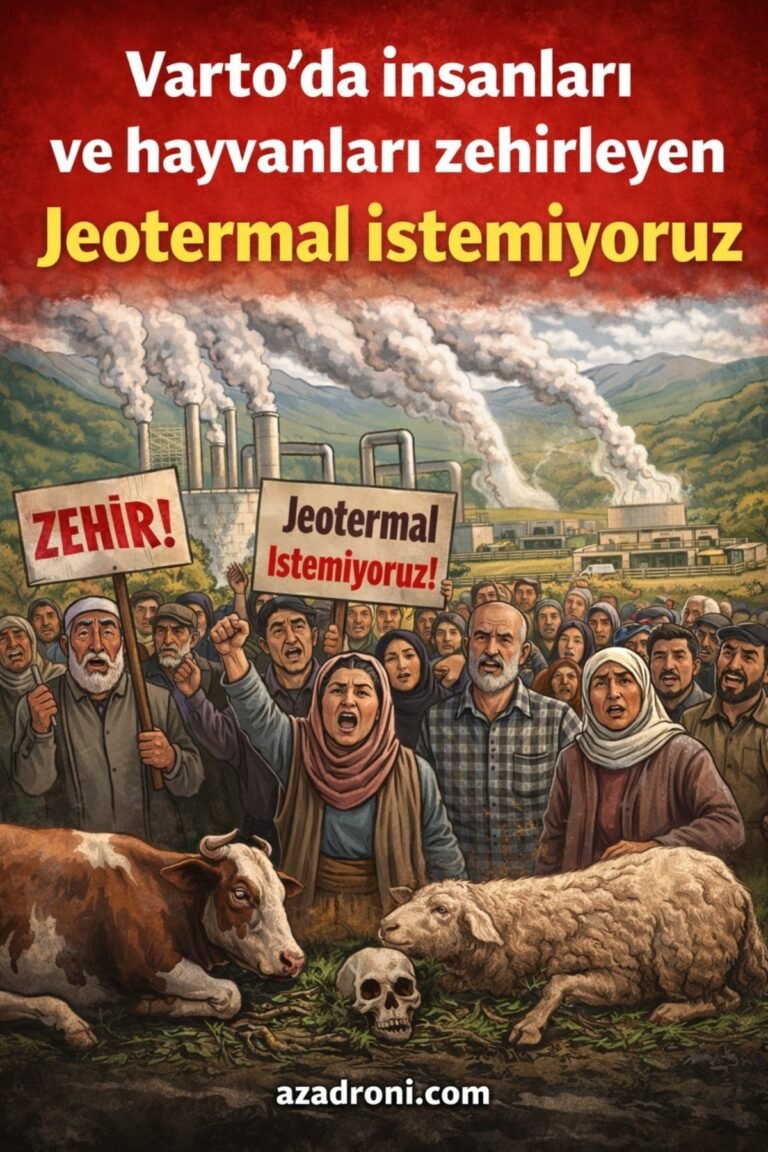 varto_wordpress_1200 (3)