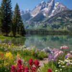 Babalar_diyarı_Dersim_