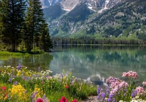 Babalar_diyarı_Dersim_